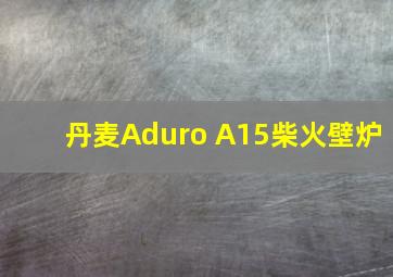 丹麦Aduro A15柴火壁炉